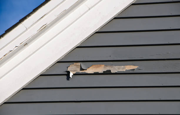 Best Residential Junk Removal  in Limon, CO